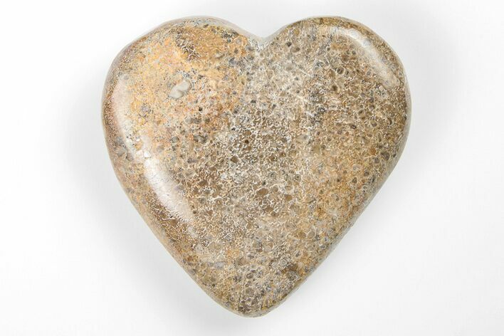 2.1" Polished Dinosaur Bone (Gembone) Heart - Morocco